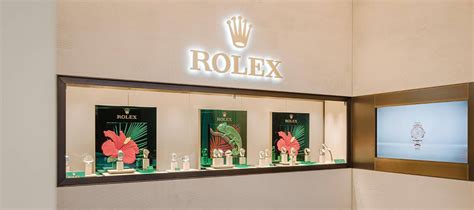 gioielleria galessi - rivenditore autorizzato rolex cantù foto|Sito ufficiale Rolex.